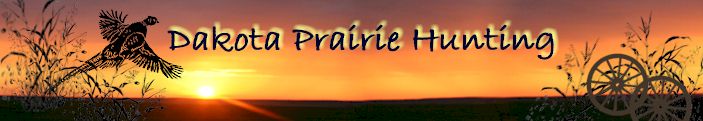 Dakota Prairie Hunting offers pheasant hunting in South Dakota.